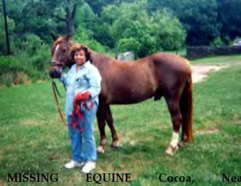 MISSING EQUINE Cocoa, Near Philadelphia/Roxbough Area, PA, 00000